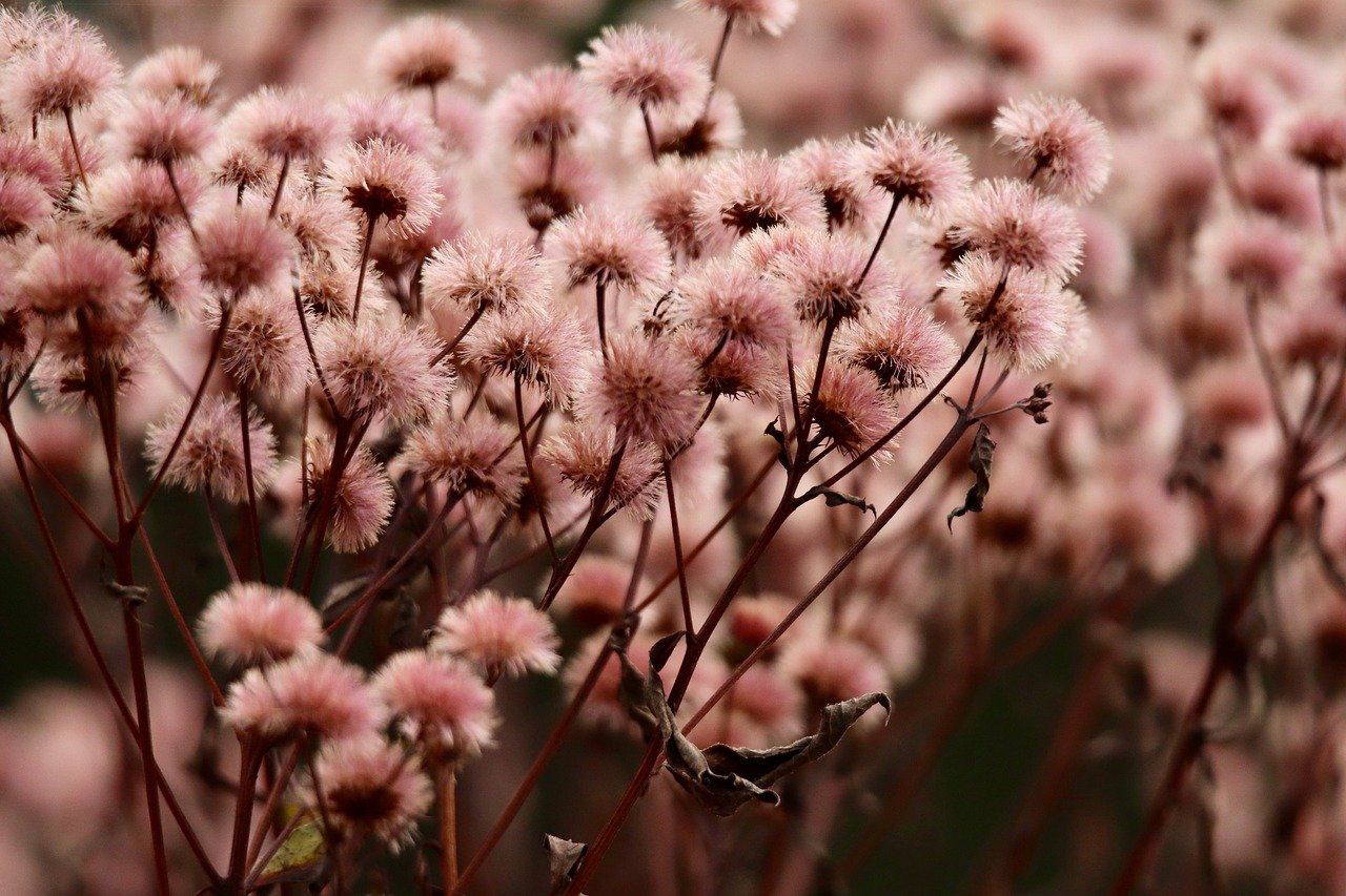 烟草商标和广告的创新设计 