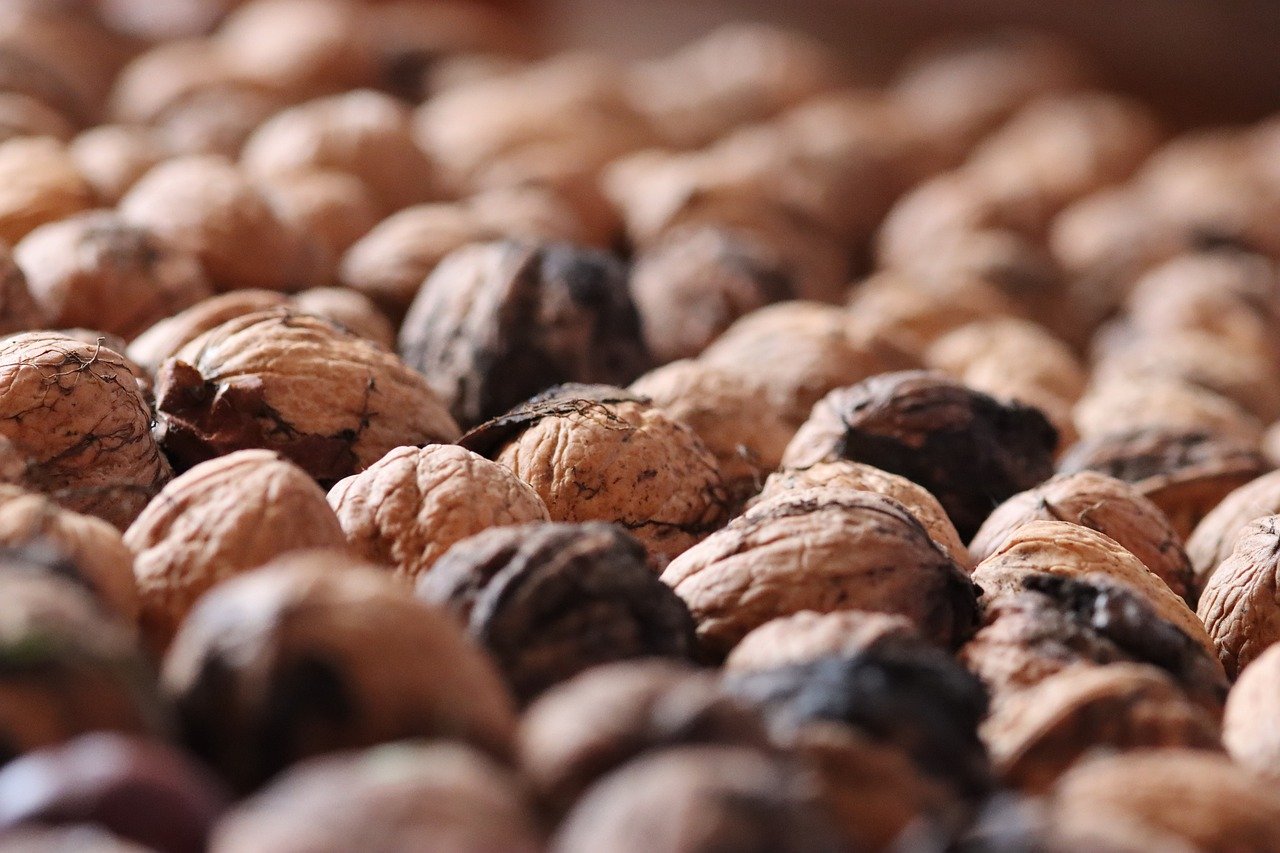 在线DDOS压力测试网页端|代理注册公司在哪找